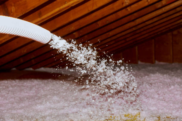 Best Eco-Friendly Insulation in Levelland, TX