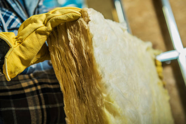 Best Geographic-Specific Insulation Services in Levelland, TX