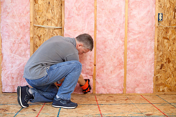Best Cellulose Insulation in Levelland, TX